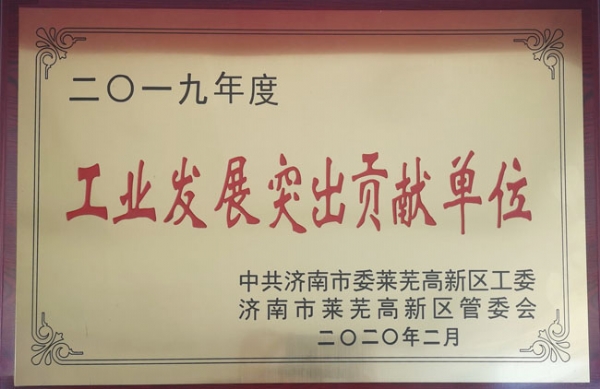 工业发展突出贡献单位